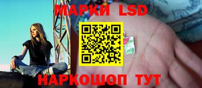 шишки Славгород