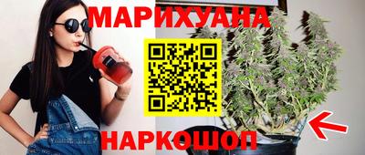 шишки Славгород