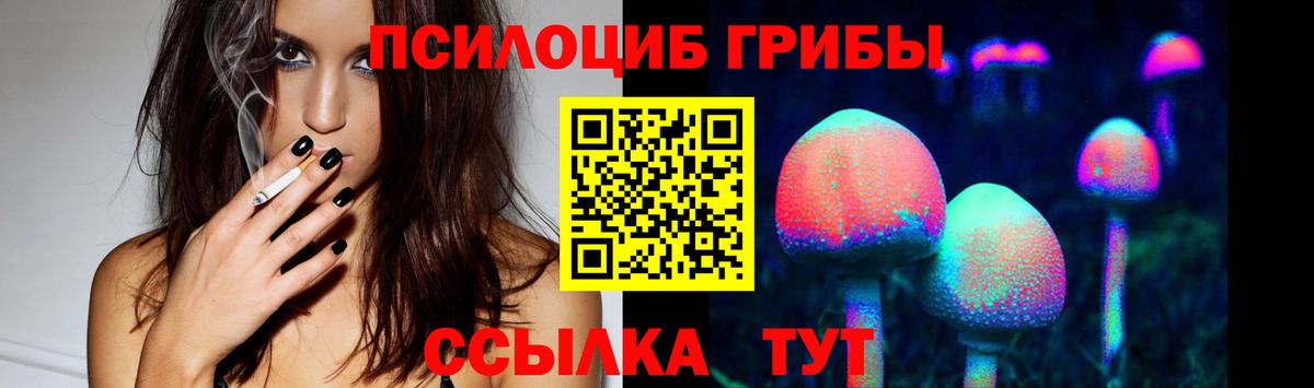 Галлюциногенные грибы мицелий  Псилоцибиновые грибы прущие грибы  Вход с VPN  Новый Уренгой 